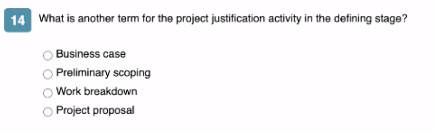 13 Which project phase includes the development