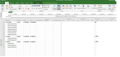 Book: Information technology Project Management