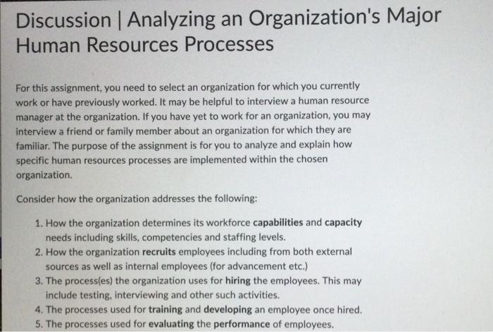 Discussion | Analyzing an Organization's Major