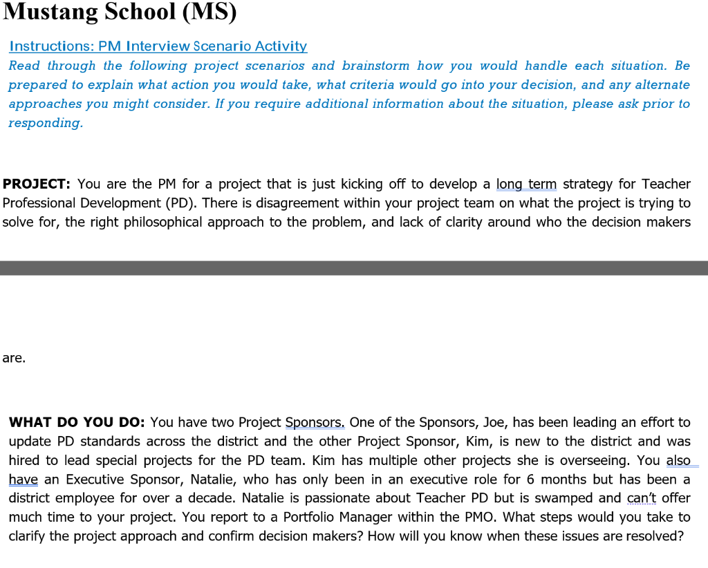 Mustang School (MS) Instructions: PM Interview