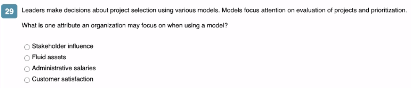 29 Leaders make decisions about project selection