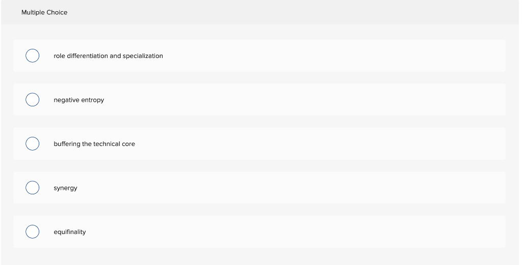 Ricky Bobby, CEO of Cal Naughton Industries,