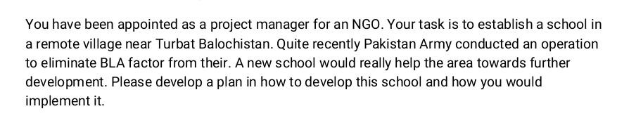 You have been appointed as a project manager for