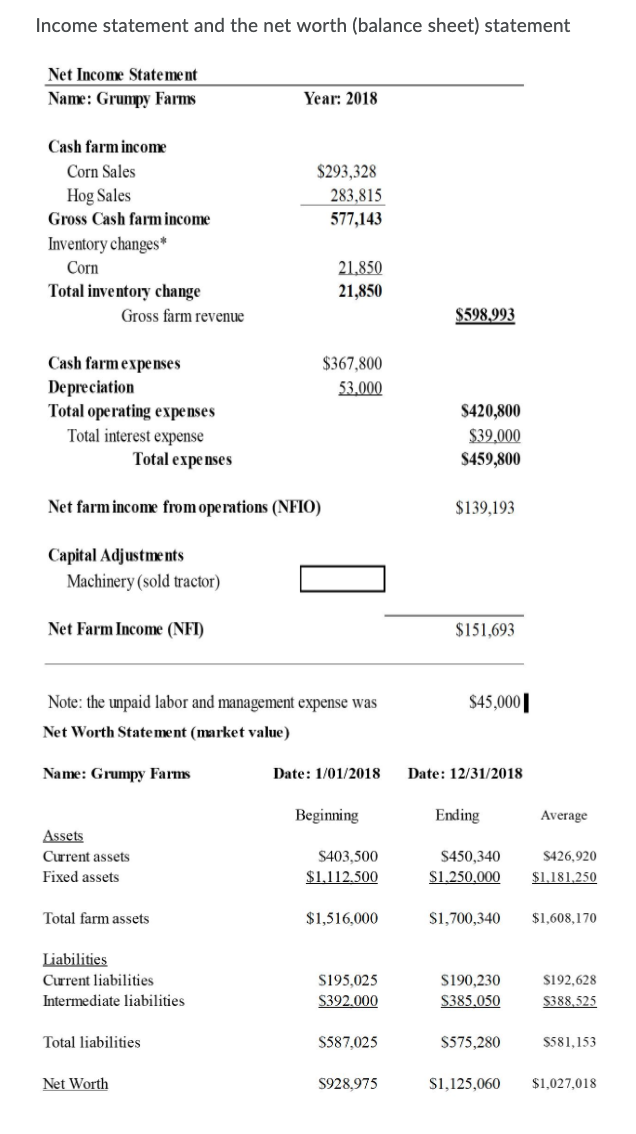 Income statement and the net worth (balance