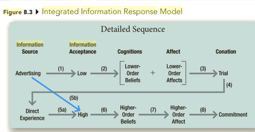 Interview two other students on a recent purchase
