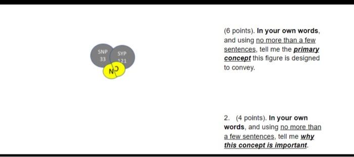 SNP SYP (6 points). In your own words, and using