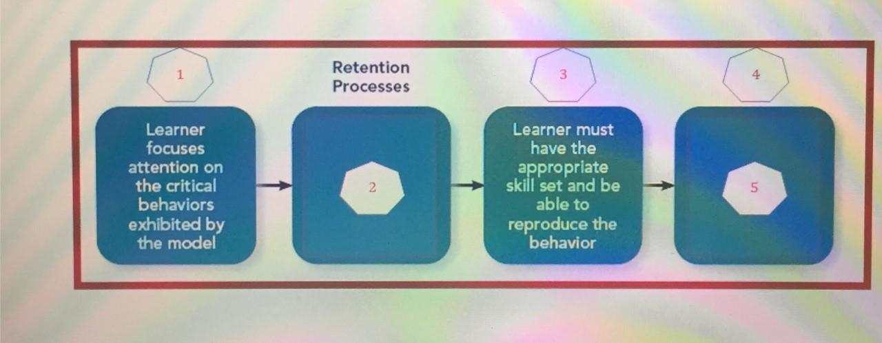 Fill in the gaps Retention Processes 3 Learner