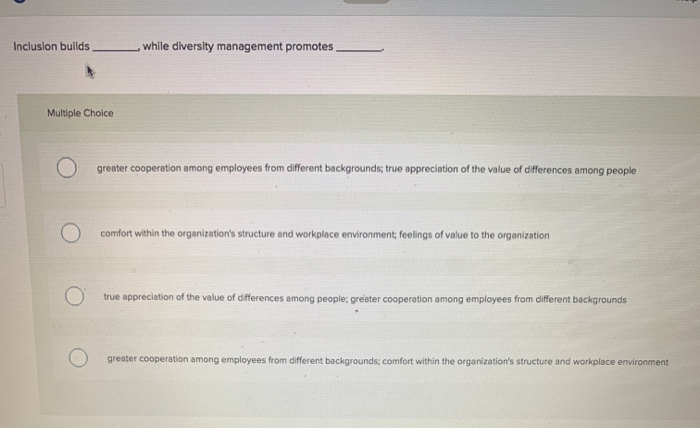 Inclusion builds while diversity management