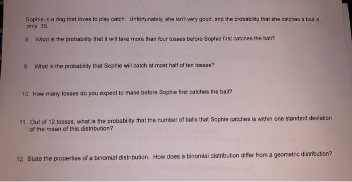 Sophie is a dog that loves to play catch.