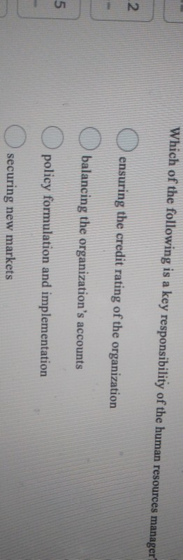 Which of the following is a key responsibility of