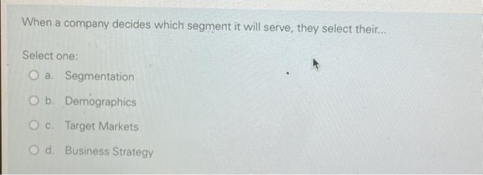 When a company decides which segment it will