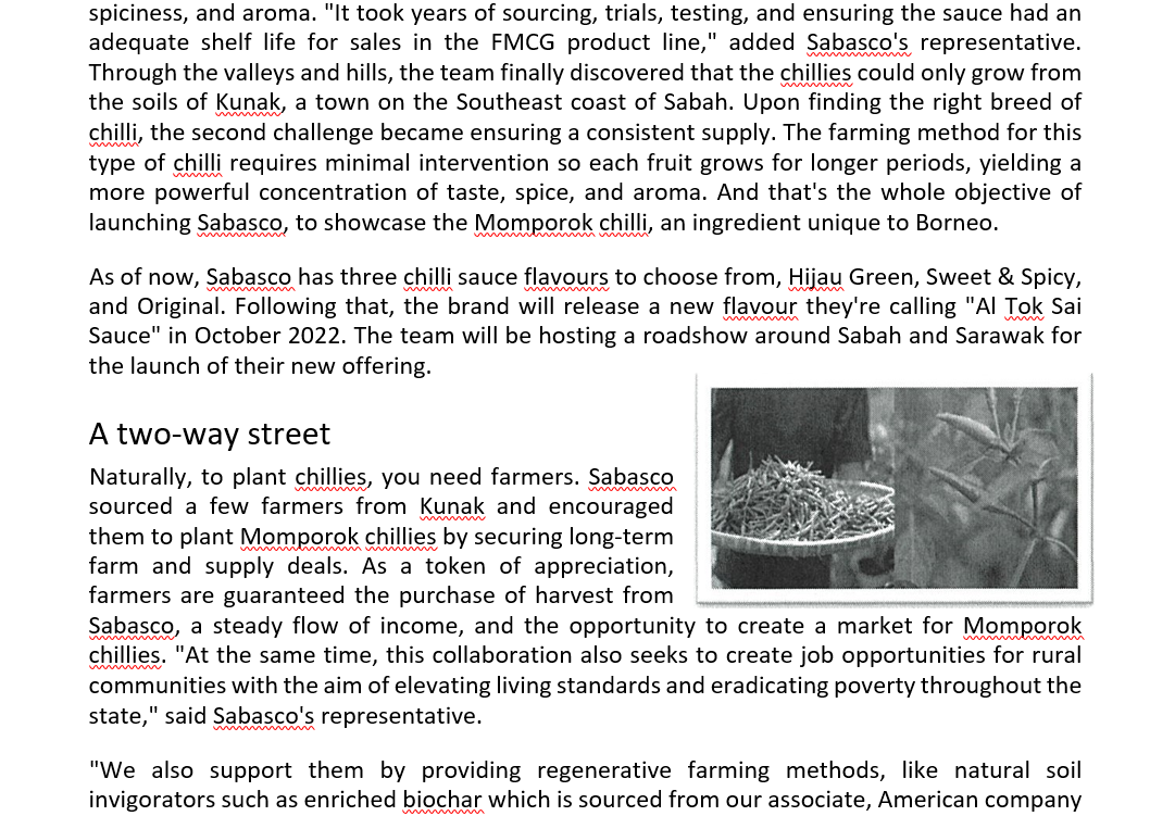 Build an Ansoff Matrix for Sabasco by SugarBun.