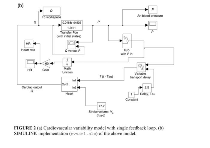 FIGURE 2 (a) Cardiovascular variability model