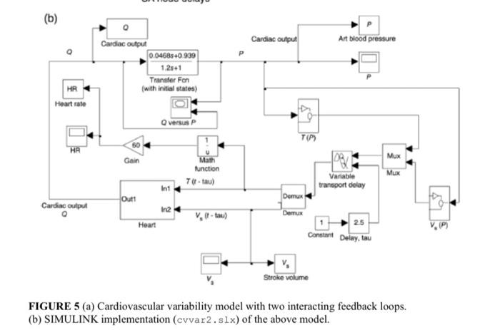 FIGURE 2 (a) Cardiovascular variability model