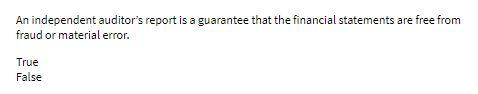 An independent auditor's report is a guarantee