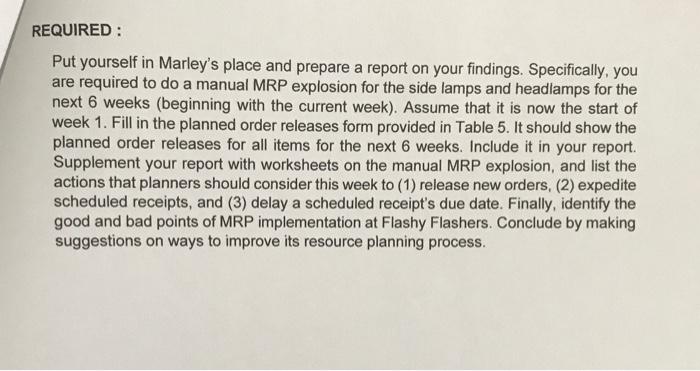 CASE STUDY 2: Flashy Flashers, Inc. (30 marks)
