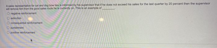 A sales representative for cat and dog bow ties