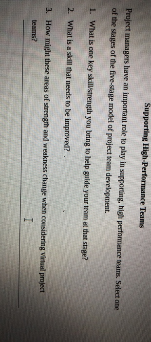 Supporting High-Performance Teams Project