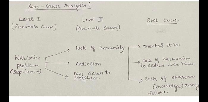 Using the root cause analysis and diagrams,