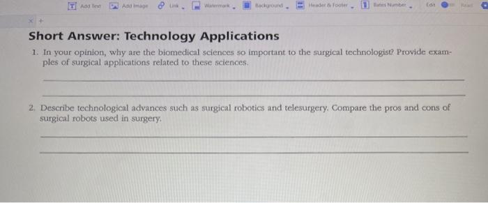  Il Add image 2 Background Header to rooter umbe Lait Short