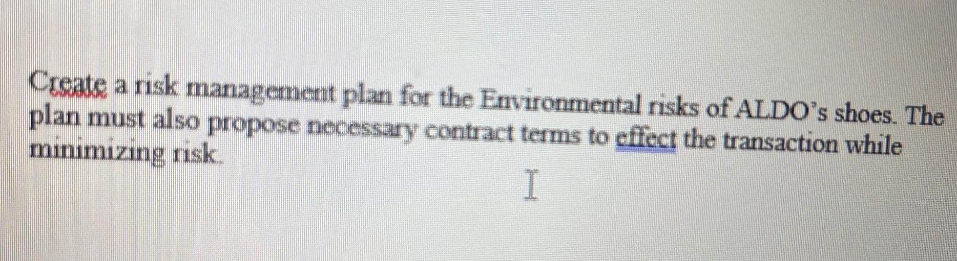 Create a risk management plan for the