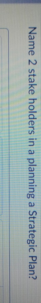 Name 2 stake holders in a planning a Strategic