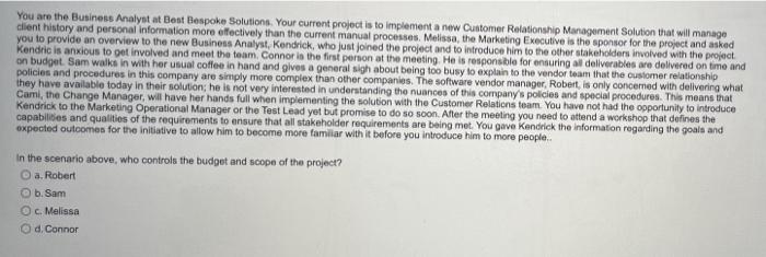 correct ans pls You are the Business Analyst at