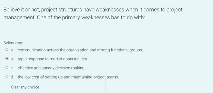 A matrix organization for project management has