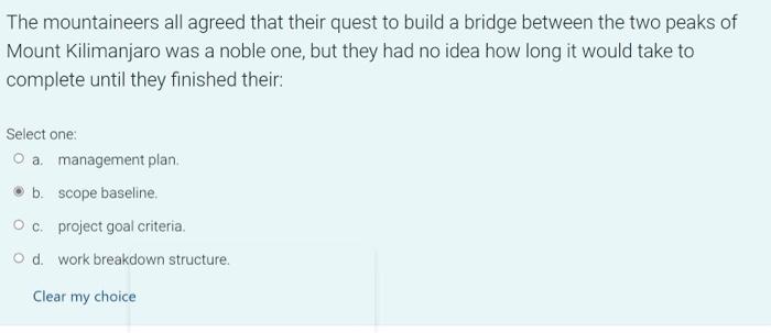 A matrix organization for project management has