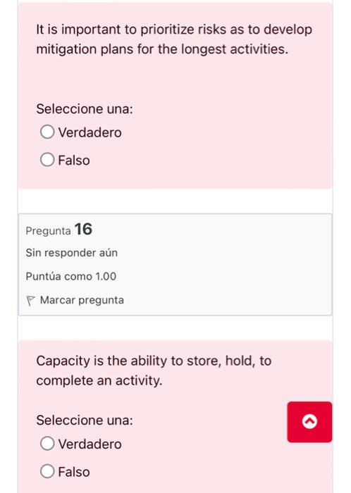 true or fakse It is important to prioritize risks