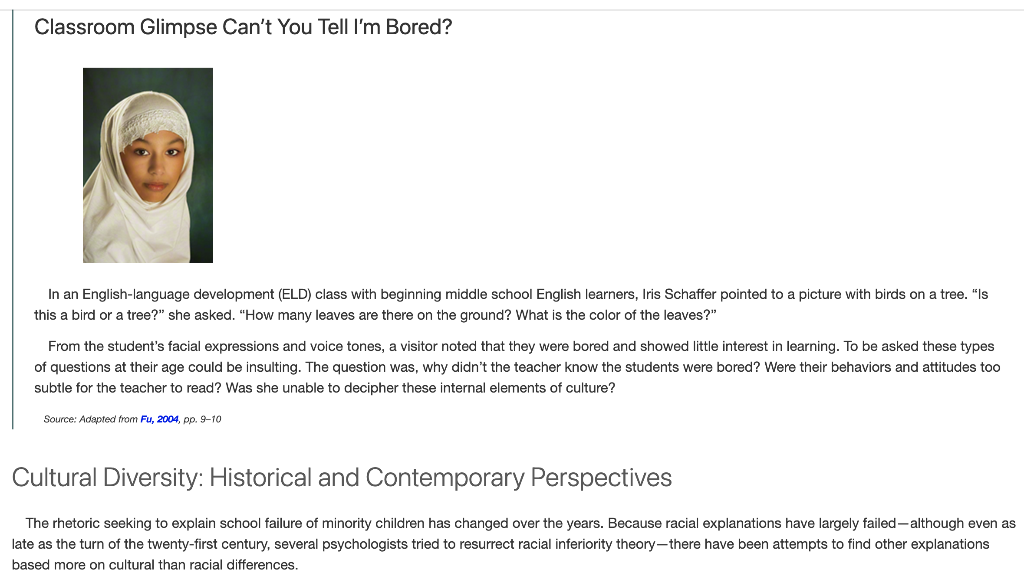 Model Minority Myth: How to avoid it and why 9