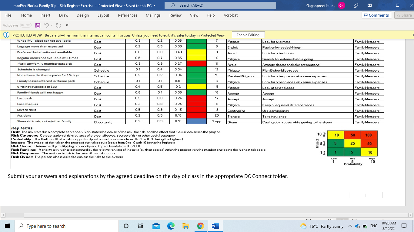 mod9ex Florida Family Trip - Risk Register
