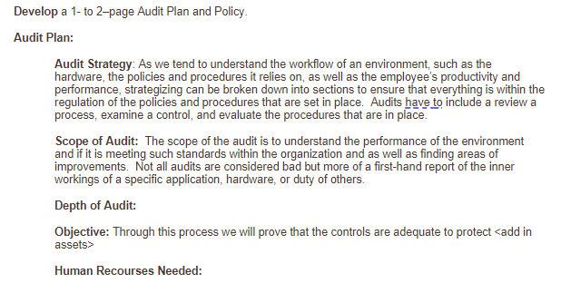 Develop a 1- to 2-page Audit Plan and Policy.