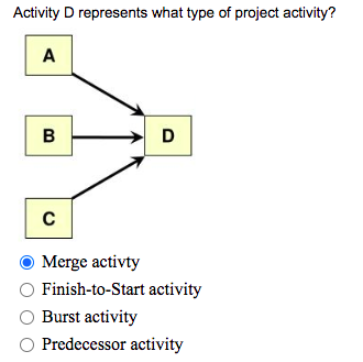 Activity D represents what type of project