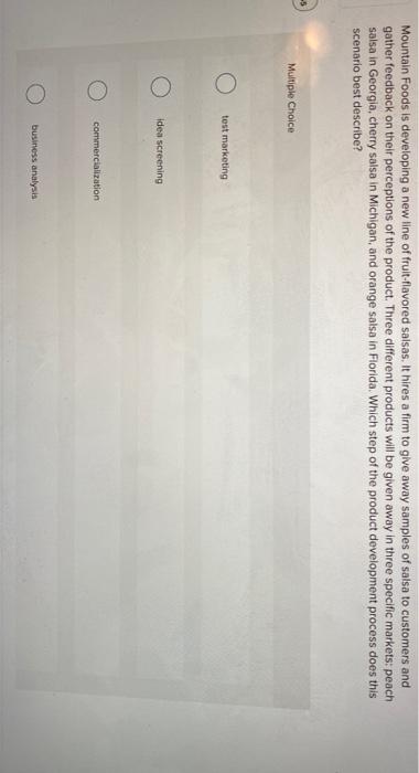 answer E is: idea development Mountain Foods is