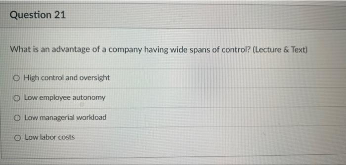 Question 21 What is an advantage of a company