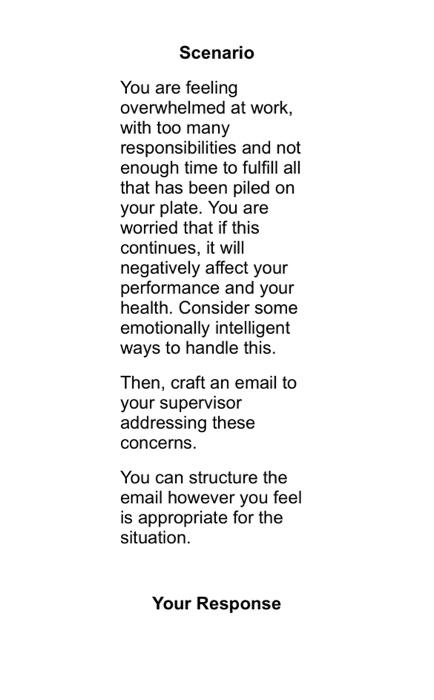 Respond to the Business Scenario using your best