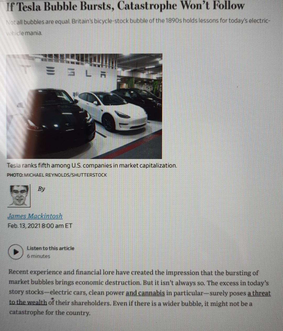 analysis this article for me. If Tesla Bubble