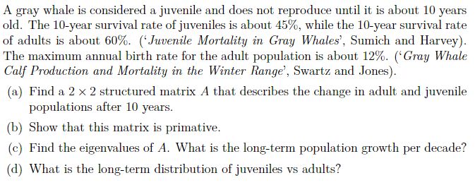 A gray whale is considered a juvenile and does