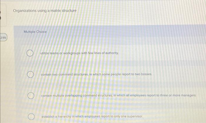 Organizations using a matrix structure Multiple