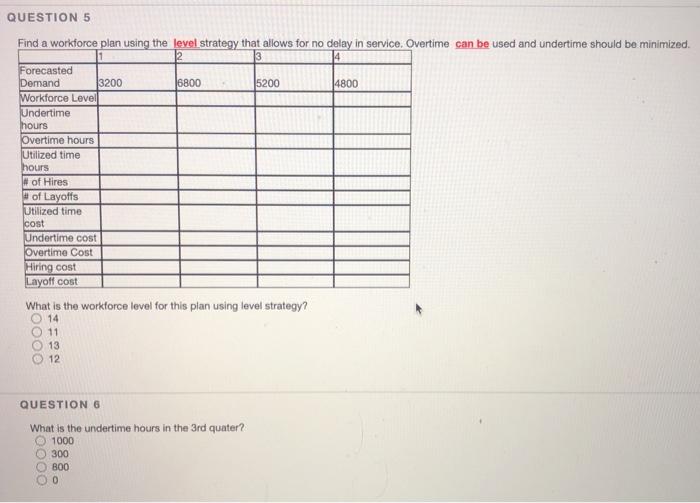 QUESTION 5 Find a workforce plan using the level