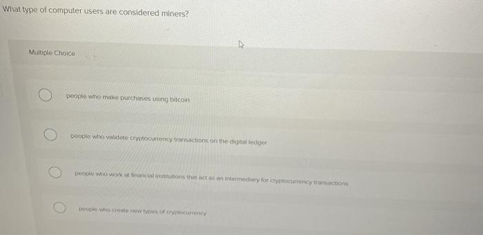 What type of computer users are considered