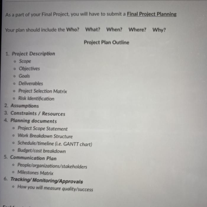project plan outline . the plan should include
