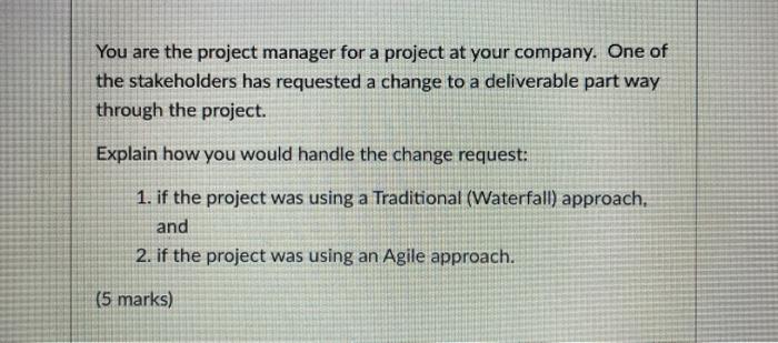 You are the project manager for a project at your
