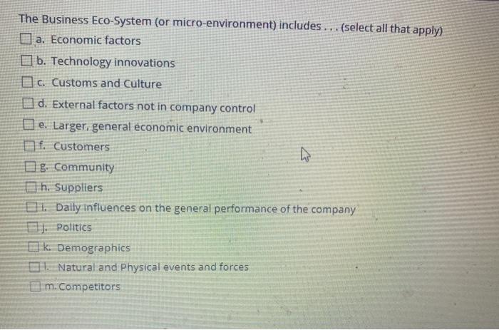 The Business Eco-System (or micro-environment)