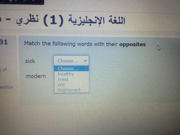 (1) - 31 Match the following words with their