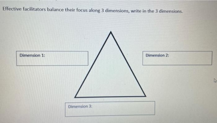 Effective facilitators balance their focus along