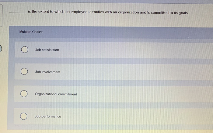 is the extent to which an employee identifies
