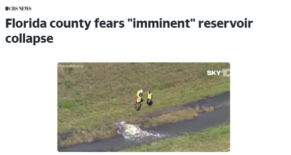 Please help me to summarize this article, thank