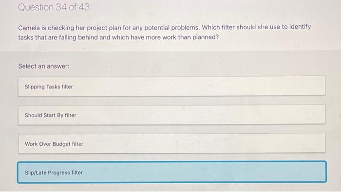 pls and ty Question 34 of 43: Camela is checking